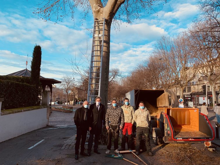 02_elagage__Large_.JPG, oct. 2012